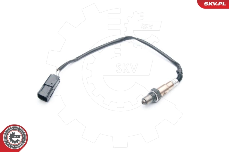 Oxygen Sensor